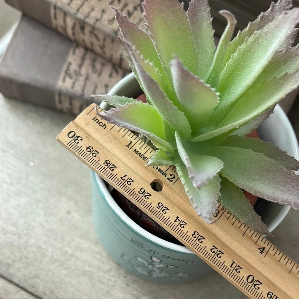Lookin' Sharp Boho Cactus Succulent Planter